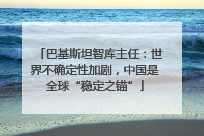 巴基斯坦智库主任：世界不确定性加剧，中国是全球“稳定之锚”