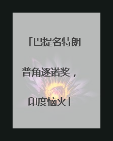 巴提名特朗普角逐诺奖，印度恼火