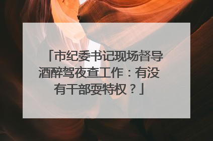 市纪委书记现场督导酒醉驾夜查工作：有没有干部耍特权？