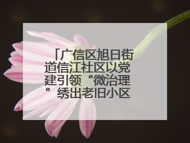 广信区旭日街道信江社区以党建引领“微治理”绣出老旧小区“幸福景”