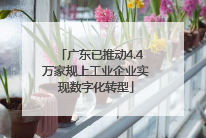 广东已推动4.4万家规上工业企业实现数字化转型