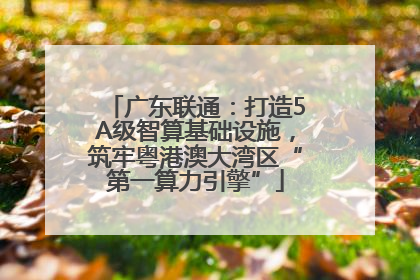 广东联通：打造5A级智算基础设施，筑牢粤港澳大湾区“第一算力引擎”