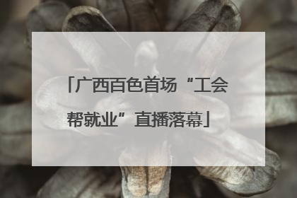 广西百色首场“工会帮就业”直播落幕