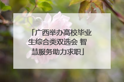 广西举办高校毕业生综合类双选会 智慧服务助力求职