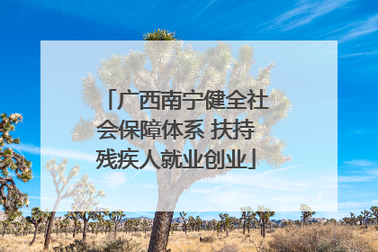 广西南宁健全社会保障体系 扶持残疾人就业创业