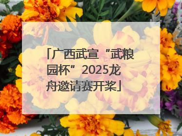 广西武宣“武粮园杯”2025龙舟邀请赛开桨