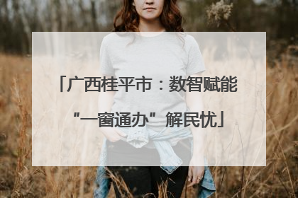 广西桂平市：数智赋能“一窗通办”解民忧