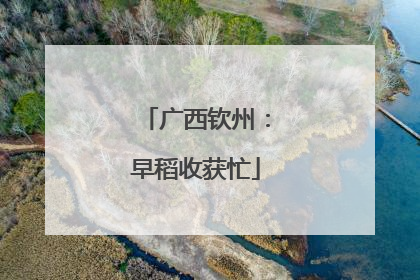 广西钦州：早稻收获忙