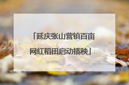 延庆张山营镇百亩网红稻田启动插秧