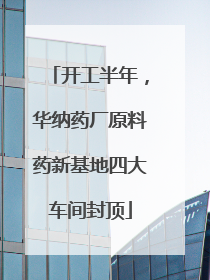 开工半年，华纳药厂原料药新基地四大车间封顶