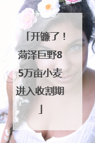 开镰了！菏泽巨野85万亩小麦进入收割期