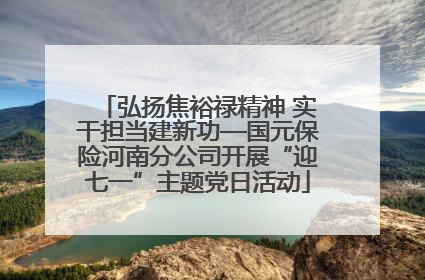 弘扬焦裕禄精神 实干担当建新功—国元保险河南分公司开展“迎七一”主题党日活动