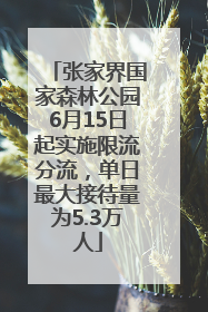 张家界国家森林公园6月15日起实施限流分流，单日最大接待量为5.3万人