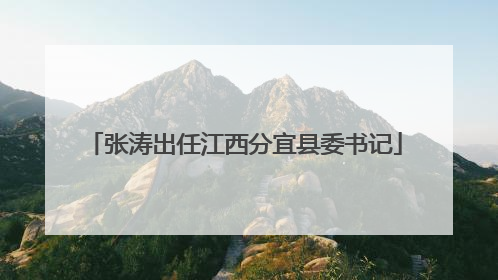 张涛出任江西分宜县委书记