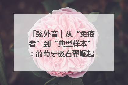 弦外音｜从“免疫者”到“典型样本”：葡萄牙极右翼崛起背后的欧洲困局