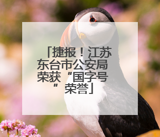 捷报！江苏东台市公安局荣获“国字号”荣誉