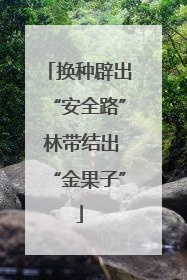 换种辟出“安全路” 林带结出“金果子”