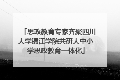 思政教育专家齐聚四川大学锦江学院共研大中小学思政教育一体化
