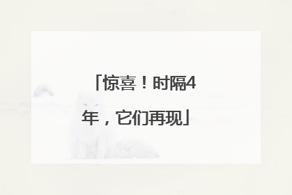 惊喜！时隔4年，它们再现