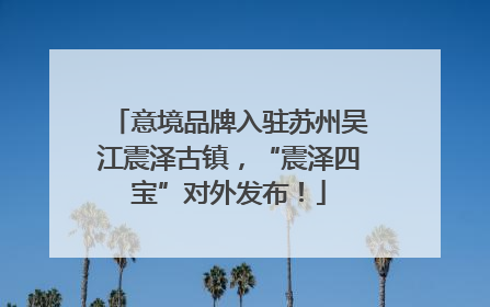 意境品牌入驻苏州吴江震泽古镇，“震泽四宝”对外发布！