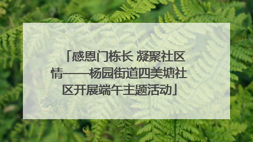 感恩门栋长 凝聚社区情——杨园街道四美塘社区开展端午主题活动