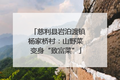 慈利县岩泊渡镇杨家桥村：山野菜变身“致富菜”