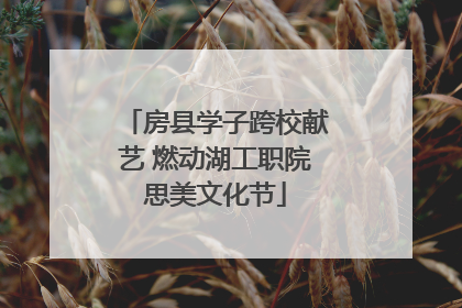 房县学子跨校献艺 燃动湖工职院思美文化节