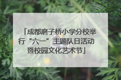 成都磨子桥小学分校举行“六一”主题队日活动暨校园文化艺术节