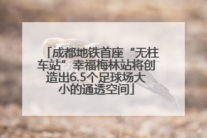 成都地铁首座“无柱车站”幸福梅林站将创造出6.5个足球场大小的通透空间
