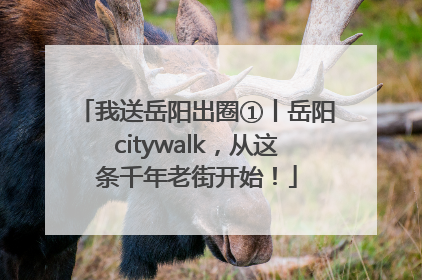我送岳阳出圈①丨岳阳citywalk，从这条千年老街开始！