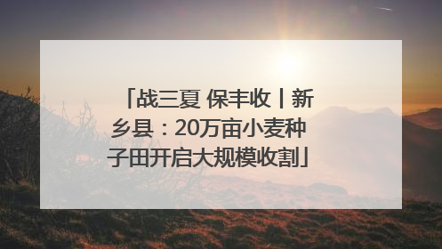 战三夏 保丰收丨新乡县：20万亩小麦种子田开启大规模收割