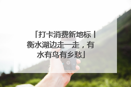 打卡消费新地标丨衡水湖边走一走，有水有鸟有乡愁