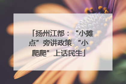 扬州江都：“小摊点”旁讲政策 “小爬爬”上话民生