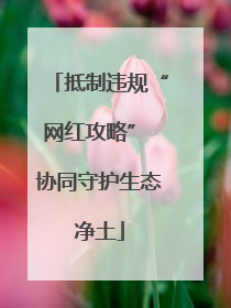 抵制违规“网红攻略” 协同守护生态净土