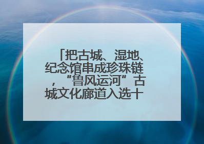 把古城、湿地、纪念馆串成珍珠链，“鲁风运河”古城文化廊道入选十大最美农村路