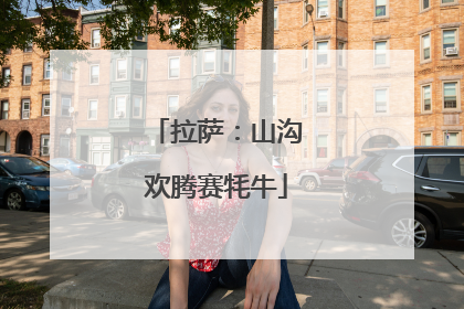 拉萨：山沟欢腾赛牦牛