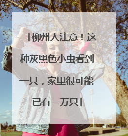 柳州人注意！这种灰黑色小虫看到一只，家里很可能已有一万只