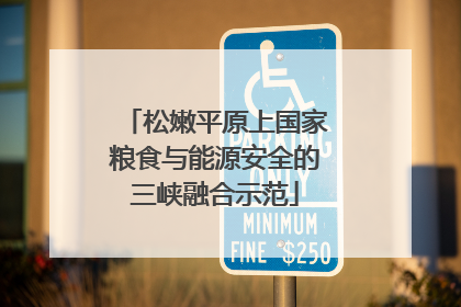 松嫩平原上国家粮食与能源安全的三峡融合示范