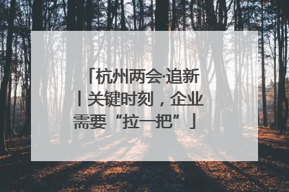 杭州两会·追新丨关键时刻，企业需要“拉一把”