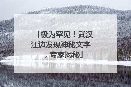 极为罕见！武汉江边发现神秘文字，专家揭秘