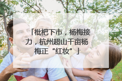 枇杷下市，杨梅接力，杭州超山千亩杨梅正“红妆”