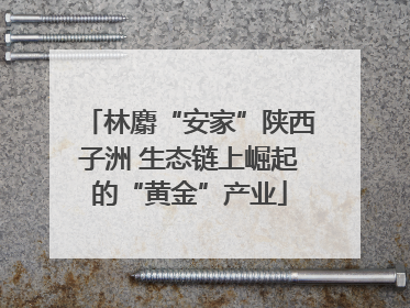 林麝“安家”陕西子洲 生态链上崛起的“黄金”产业