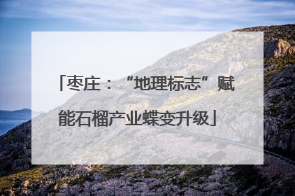 枣庄：“地理标志”赋能石榴产业蝶变升级
