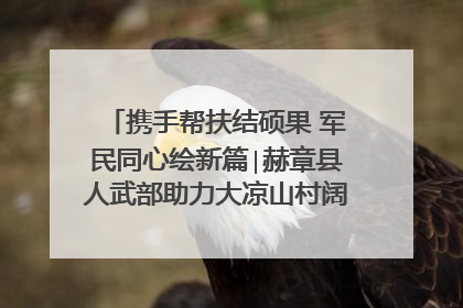 携手帮扶结硕果 军民同心绘新篇∣赫章县人武部助力大凉山村阔步乡村振兴路
