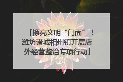 擦亮文明“门面”！潍坊诸城相州镇开展店外经营整治专项行动