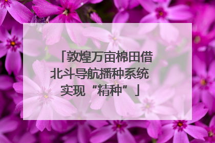 敦煌万亩棉田借北斗导航播种系统实现“精种”
