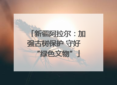 新疆阿拉尔：加强古树保护 守好“绿色文物”