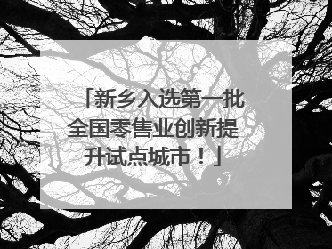 新乡入选第一批全国零售业创新提升试点城市！