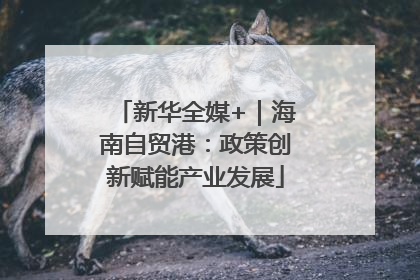新华全媒+｜海南自贸港：政策创新赋能产业发展