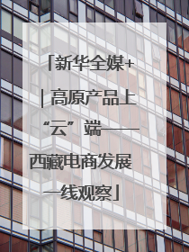 新华全媒+｜高原产品上“云”端——西藏电商发展一线观察
